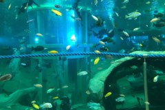 IMG-20180128-WA0003_1024x768