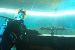 IMG-20180128-WA0020_1024x575