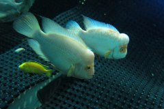 IMG-20180128-WA0038_1024x575
