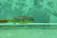 IMG-20180128-WA0039_1024x575