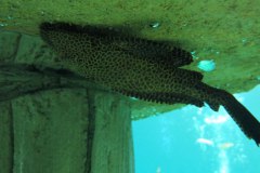 IMG-20180128-WA0040_1024x575