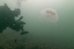 IMG-20221107-WA0022